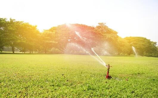 Yard drainage and irrigation work in Central Florida