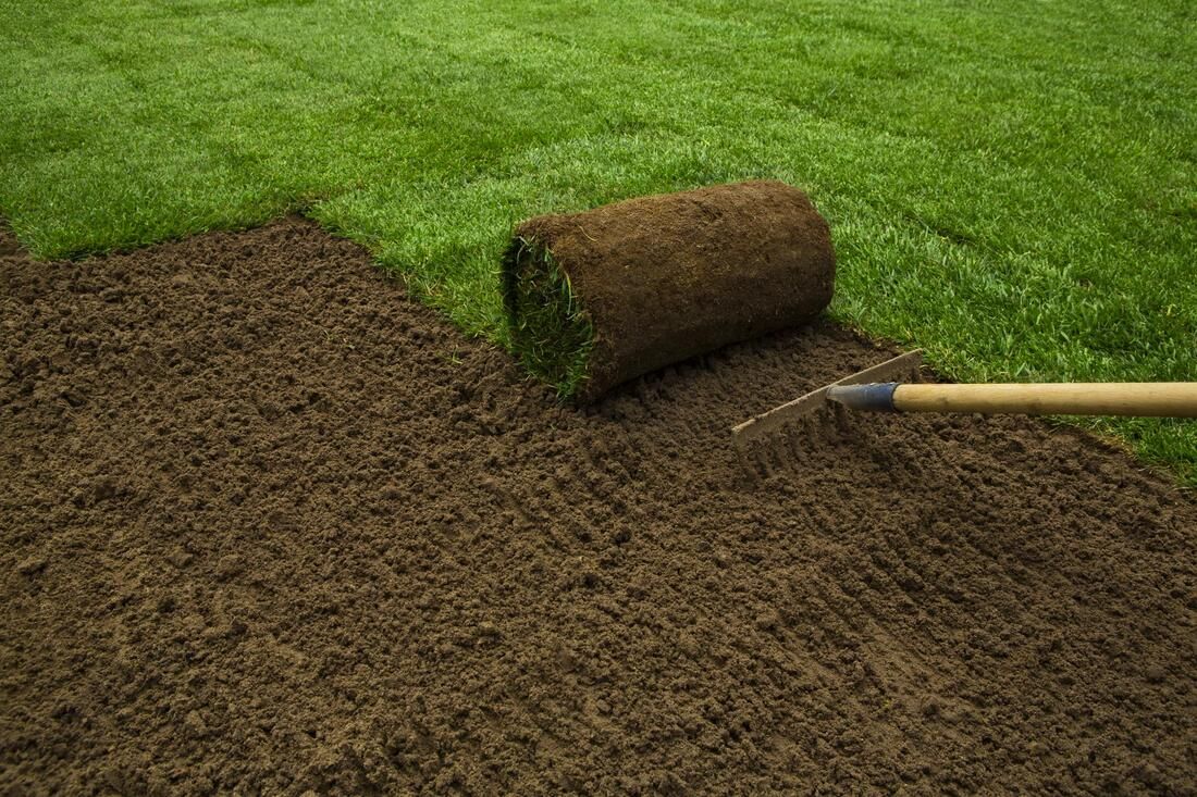 Fresh sod installation in St. Cloud, FL